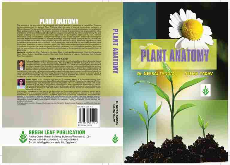 Plant Anatomy.jpg